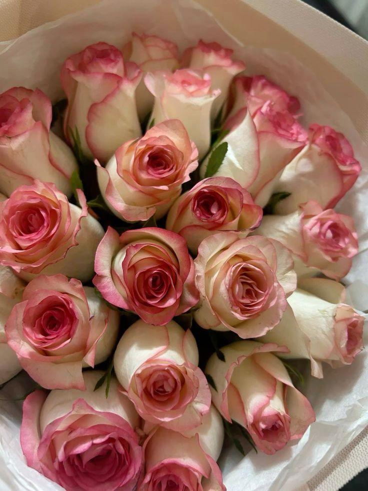 Stardust Melody: Night's Essence in Flowers
